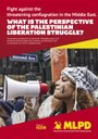 Fight against the threatening conflagration in the Middle East. What is the perspective of the Palestinian liberation struggle?
