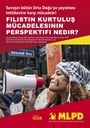 Savaşın bütün Orta Doğu'ya yayılması tehlikesine karşı mücadele! FİLİSTİN KURTULUŞ MÜCADELESİNİN PERSPEKTİFİ NEDİR?