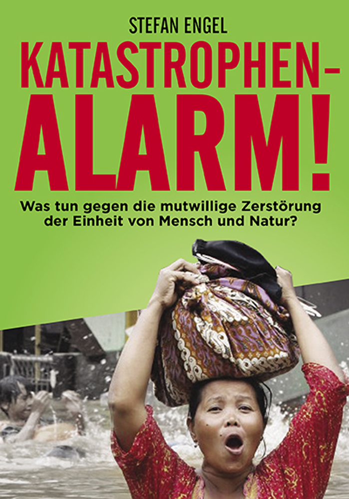 Buchcover Katastrophenalarm